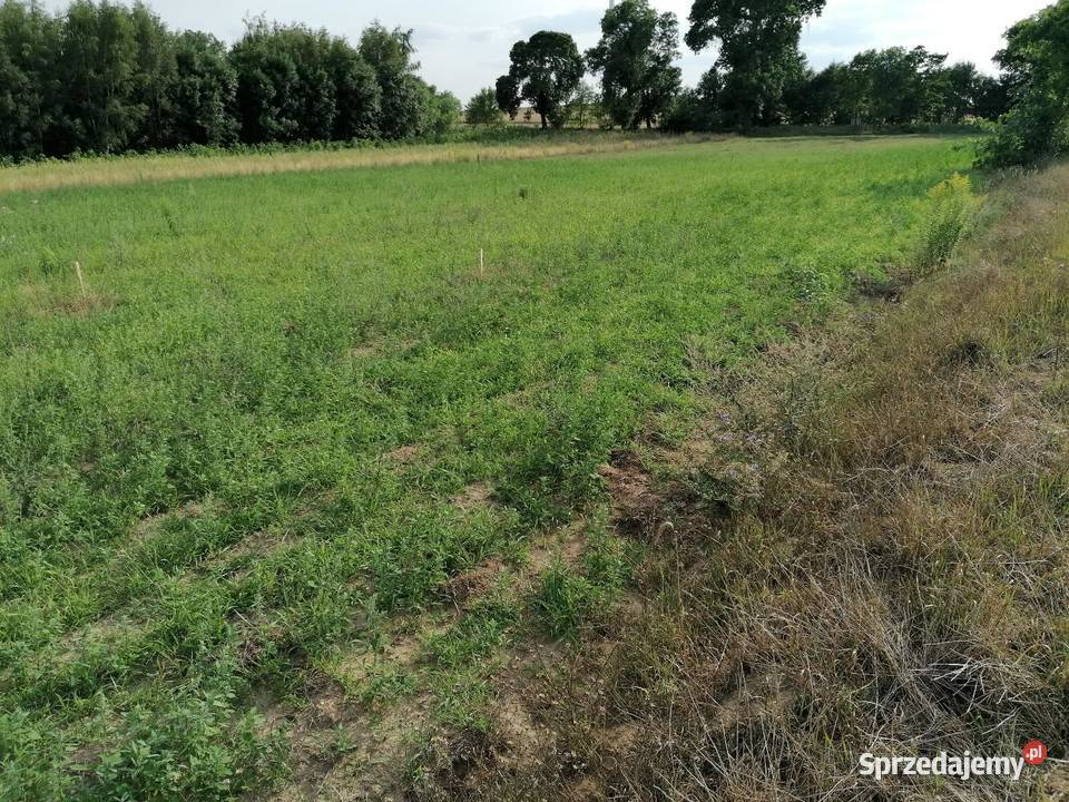 Działka budowlana 1600 mkw 1600m2 łódzkie