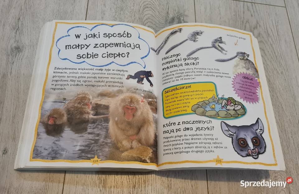 Książka Zwierzęta pytania i odpowiedzi łódzkie Łódź