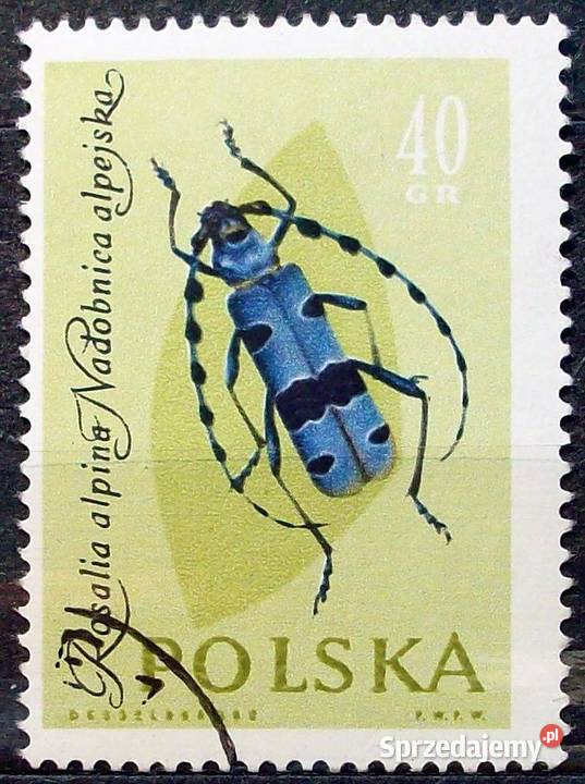 Polska1132113311341135113611371138113911401141114 łódzkie