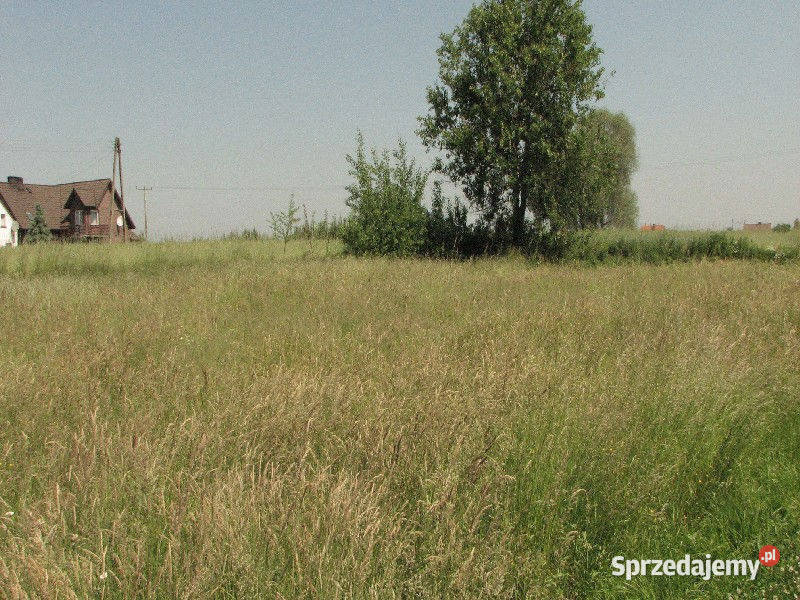 Sprzedaż działka budowlana 910 ar Dobrzeń Wielki