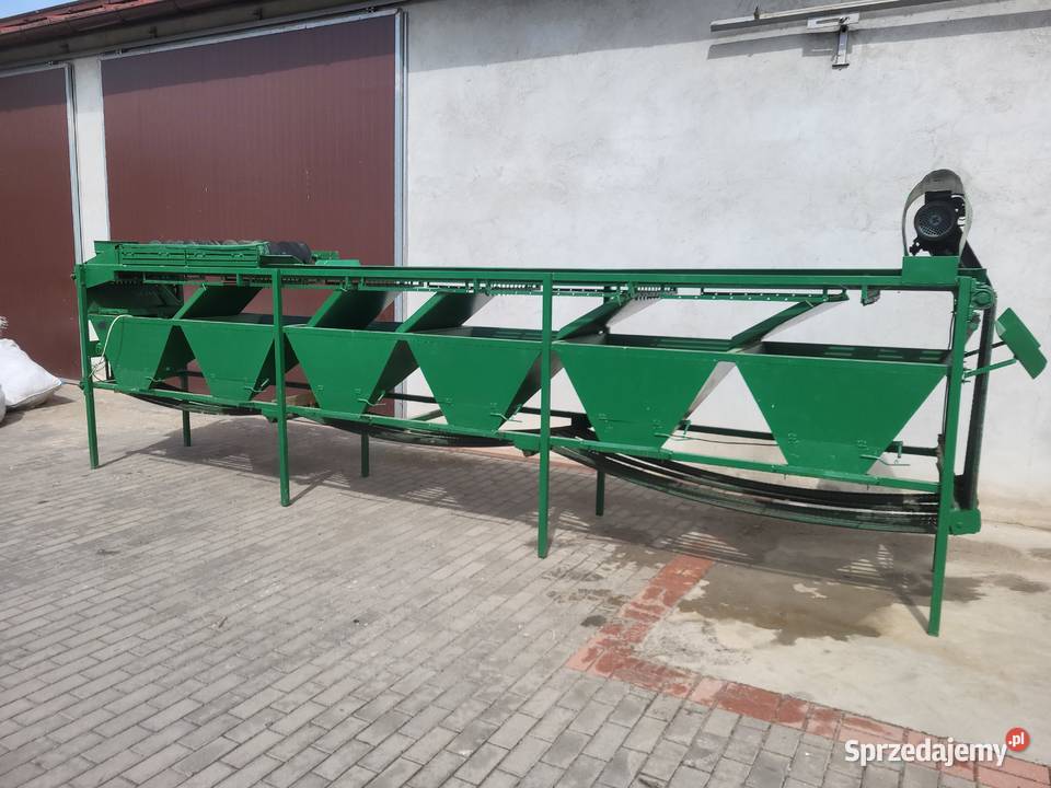 Sortownik do ogórków Czermin