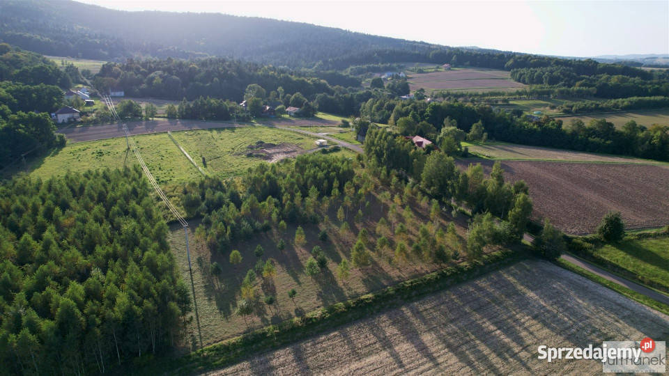 Działka 4775m2 Błażkowa Sprzedaż