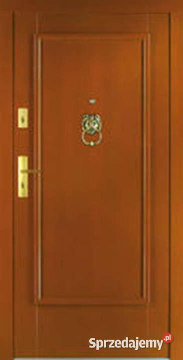 Drzwi drewniane zewnętrzne DJ 68 płytowe