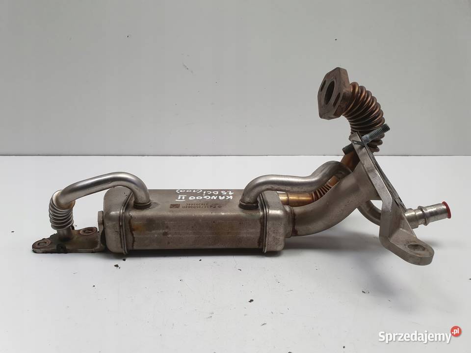 Renault Kangoo II 15 DCI CHŁODNICA SPALIN Rudka sprzedam