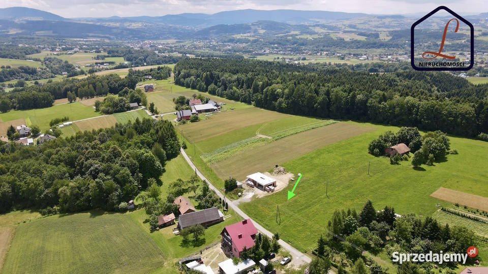 Działka o pow 1253 ar Polna gmina Grybów Sprzedaż sprzedam