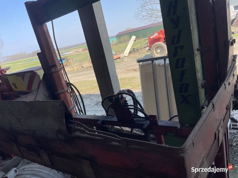 Wycinak strauann Pęchratka Polska