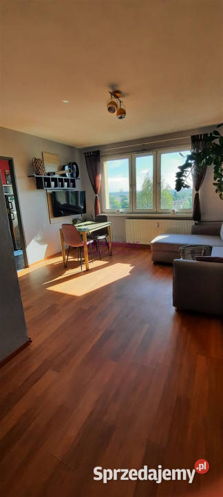 Mieszkanie 327m2 Rybnik Piętro 6 śląskie sprzedam