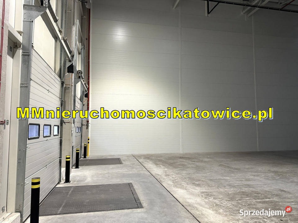 Hale ogrzewane do wynajęcia Katowice brama 0 500m2