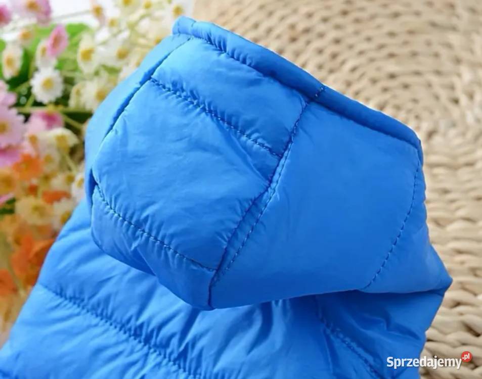 Wiosennojesienna niebieska kurtka małego pieska Bełchatów