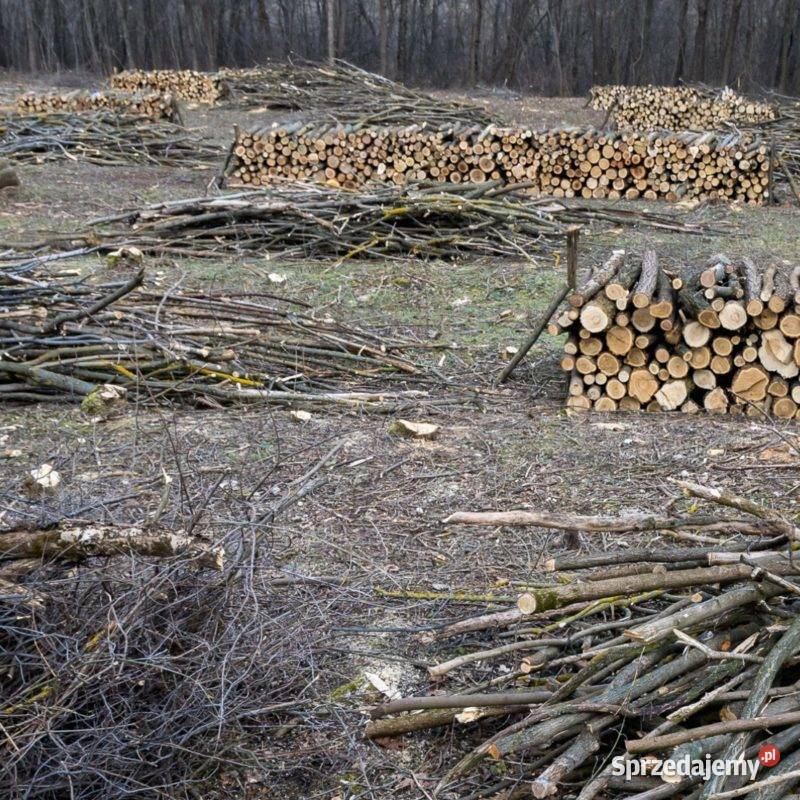 Drewno kominkowe opałowe Międzyrzecz