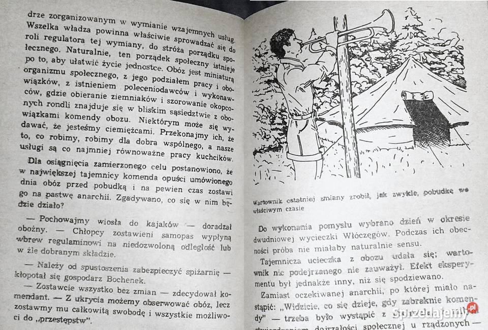 Pod totemem słońca Antoni Wasilewski miękka Pozostałe