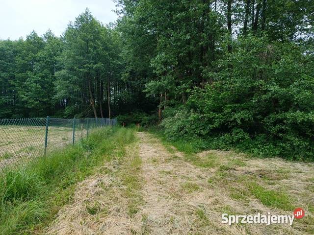 KOMPLEKS DZIAŁEK BUDOWLANYCH Z DOSTĘPEM DO Słupca