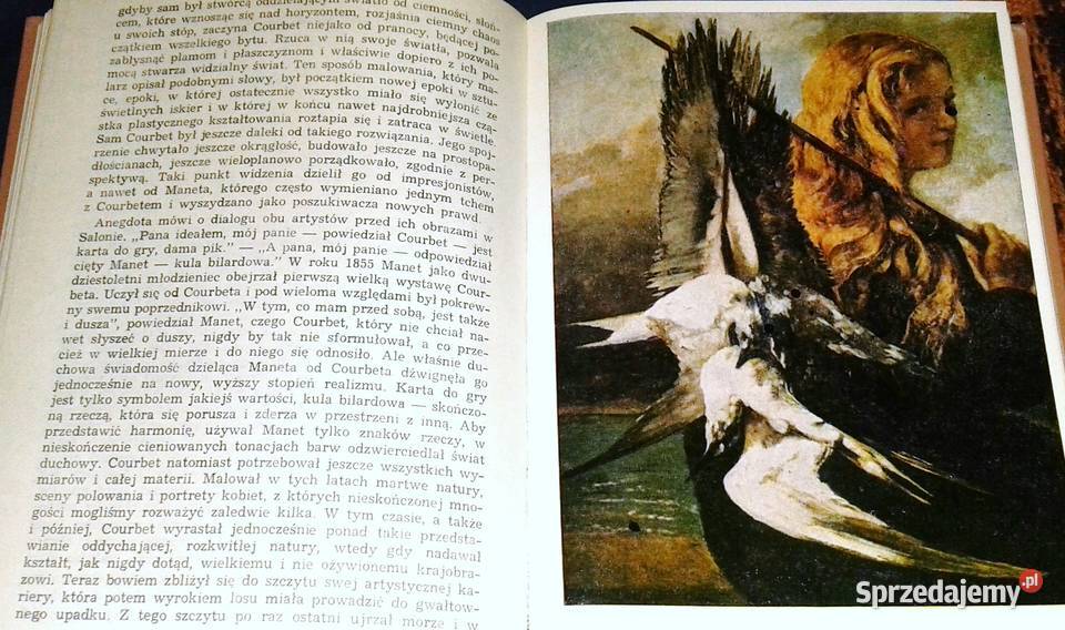 Courbet nie ułuda lecz prawda Marie Luise Rok wydania 1981 Książki i Podręczniki lubelskie Chełm