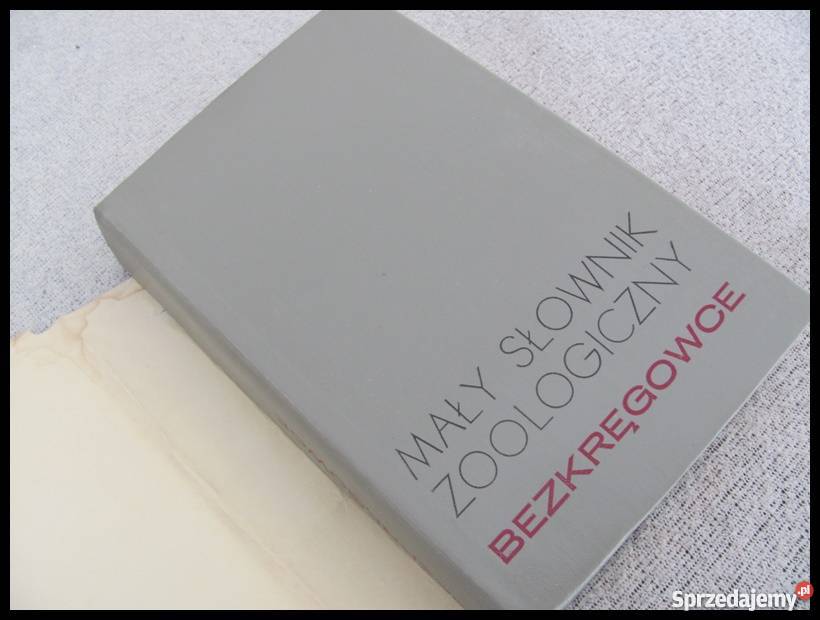 Mały Słownik Zoologiczny BEZKRĘGOWCE 6 slajdów Płock