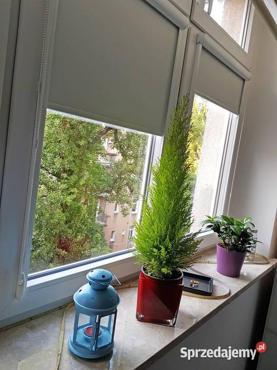 Rolety dzień nocrolety materiałowemoskitiery Poznań