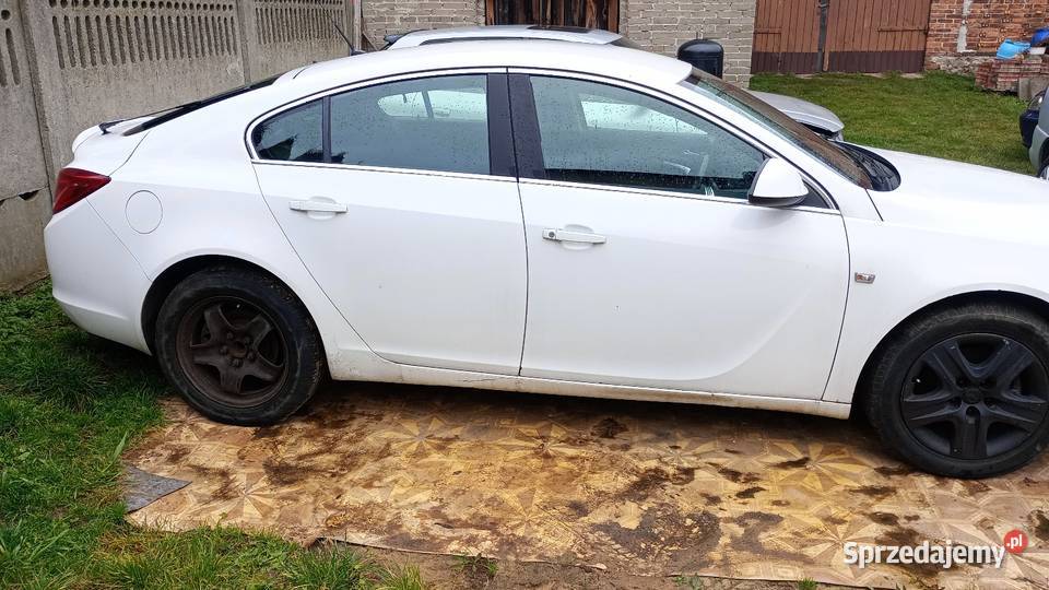 Insignia Anglik na części 18 ecotec Poręba