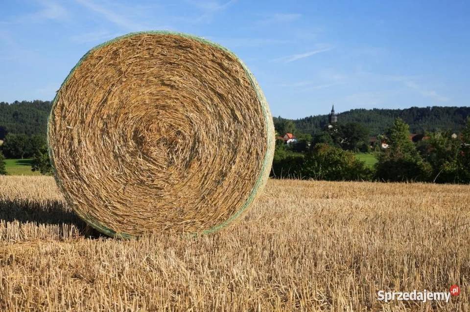 Słoma bele sprzedam