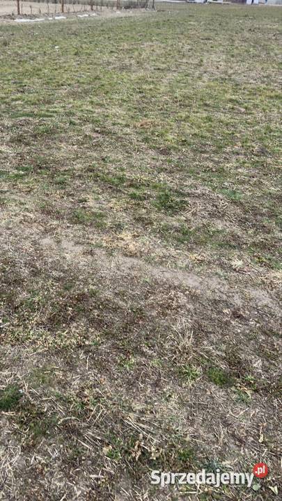 Działki budowlane woda Sprzedaż lubuskie sprzedam