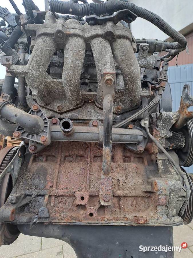 Kia Picanto 11 65 silnik kompletny kod G4HG śląskie Jastrzębie-Zdrój