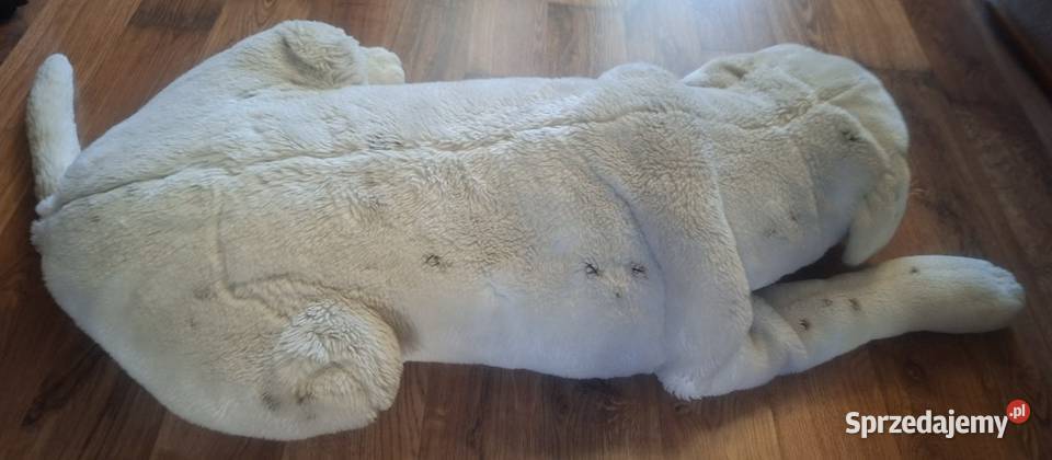 Duża maskotka pies poduszka pluszak leżący 111 Maskotki Zielona Góra