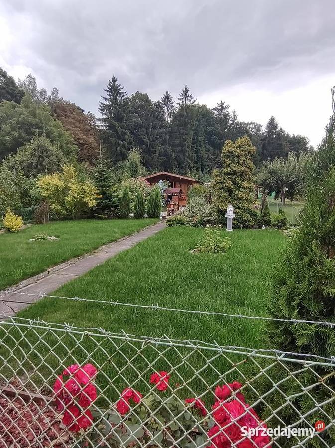 sprzedam działkę ogrodniczą Rod zamkuw Malborku pomorskie Malbork