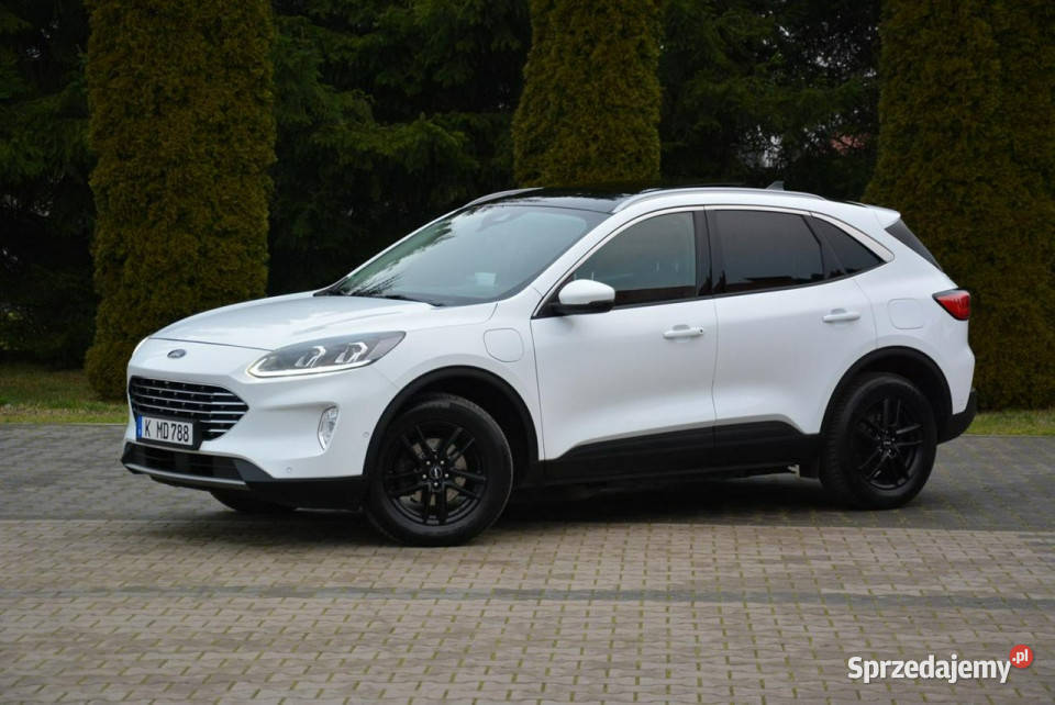 Ford Kuga 25PHEV225 FV23 RadarACC Navi Ledy immobilizer Ostrów Mazowiecka