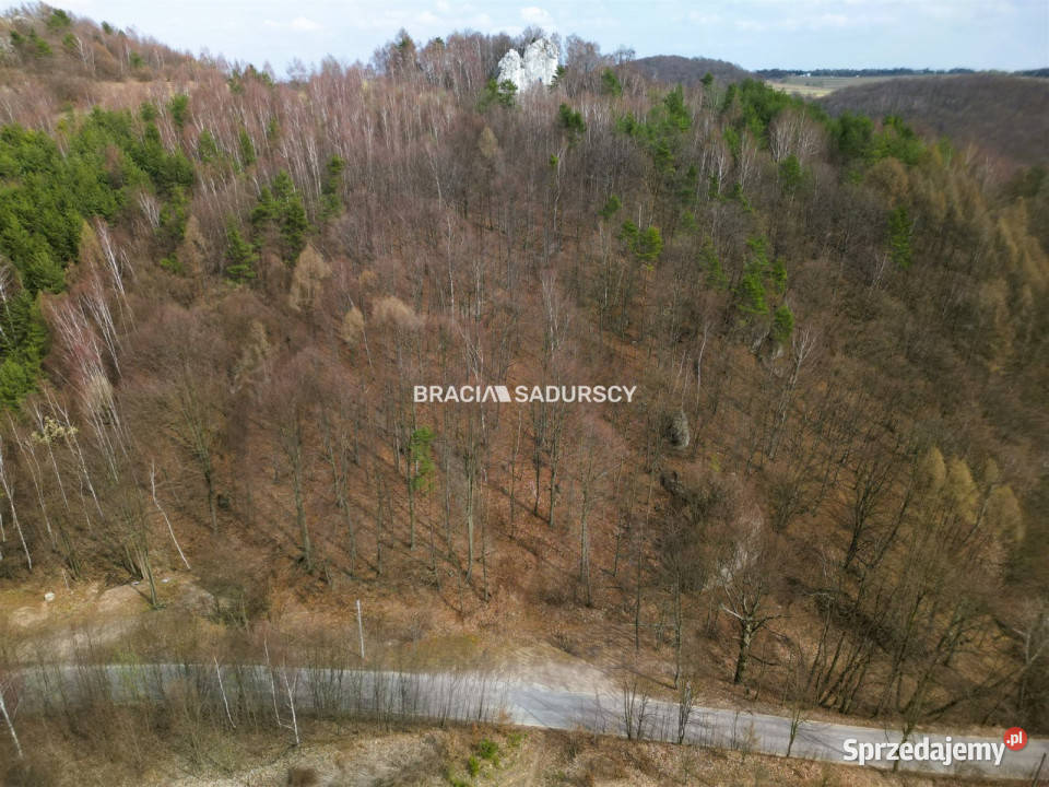 Działkę sprzedam Jerzmanowice Zachodnia 700m2 sprzedam