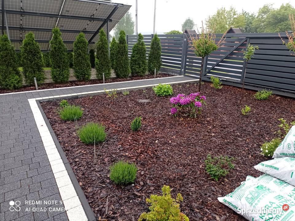 Kora sosnowa ozdobna dekoracyjna Jaworzno