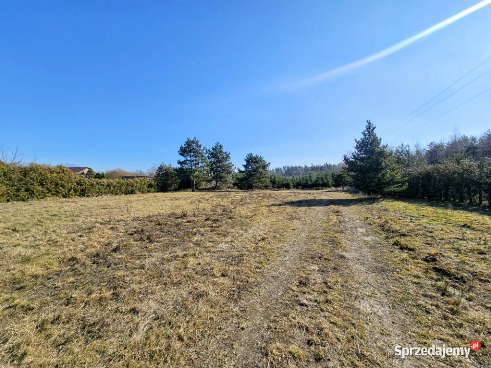 Działka budowlana 8600 m2 w klimatycznej