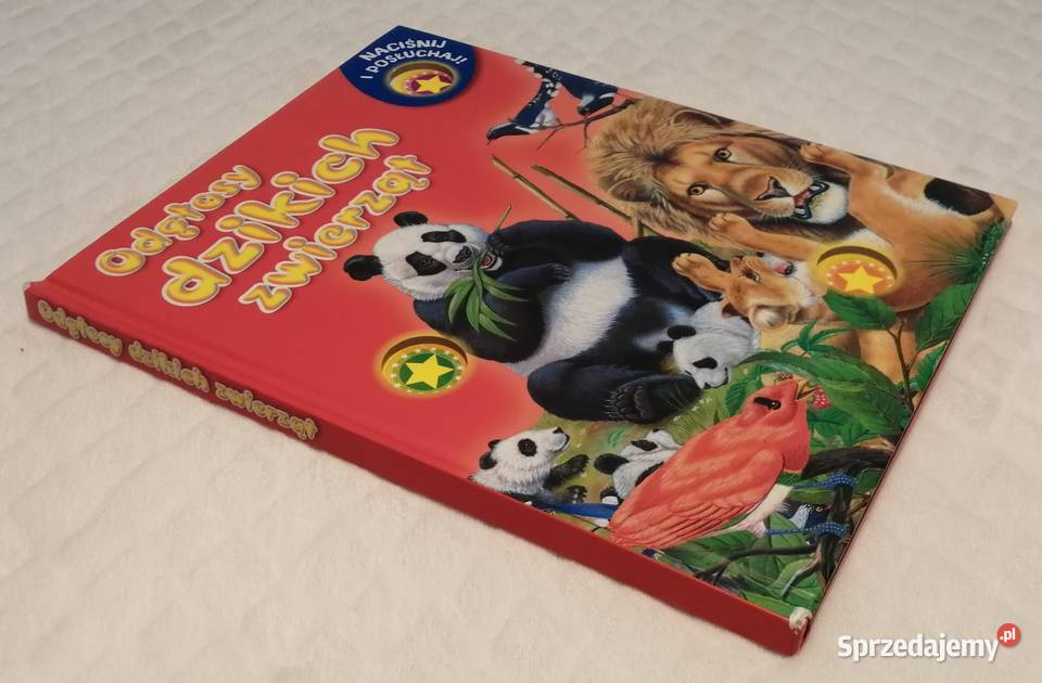 Odgłosy dzikich zwierząt książeczka dźwiękowa śląskie