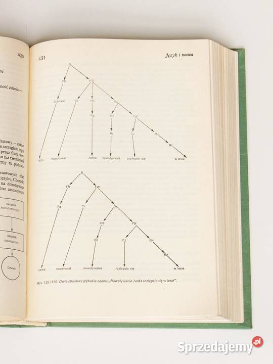 Psychologia Tadeusz Tomaszewski Kraków