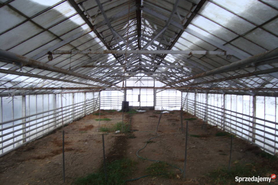 Szklarnie do rozbiórki 330 m2