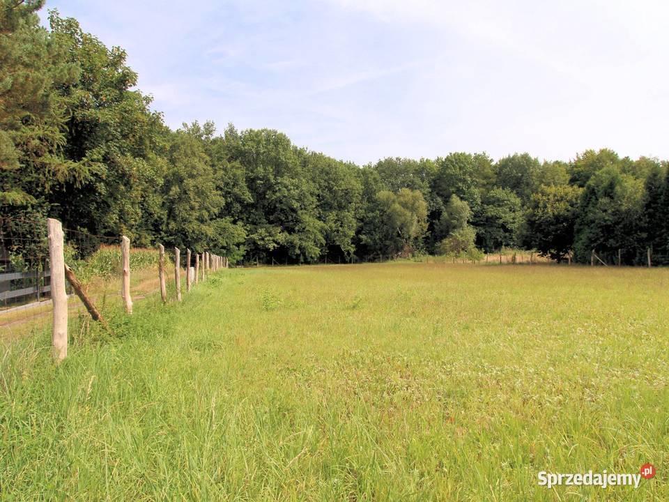 Działka na sprzedaż Mikołów 3643 m