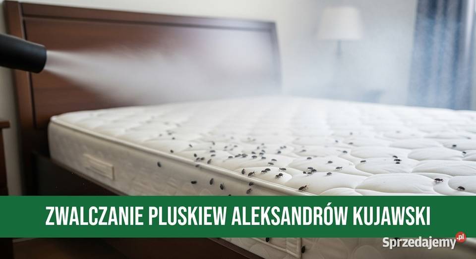 Zwalczanie Pluskiew Aleksandrów Kujawski