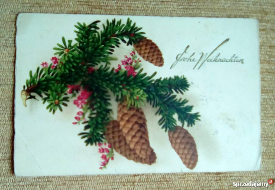 GAŁĄZKA I PIĘKNE SZYSZKI KOMPOZYCJA ŚWIĄTECZNA Piszczac sprzedam