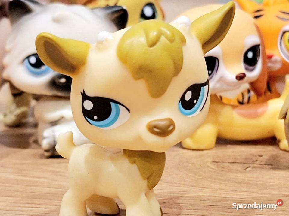 Koziołek koza Littlest Pet Shop Braniewo