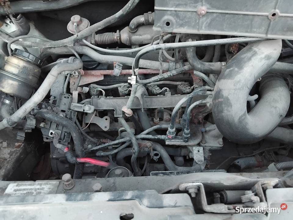 Citroen jumper Peugeot Boxer fiat Ducato Pozostałe Popielów