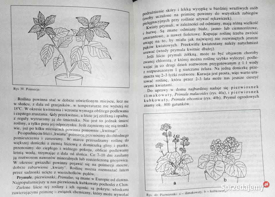 Nastolatki hodują rośliny i zwierzęta Mirosław Chełm