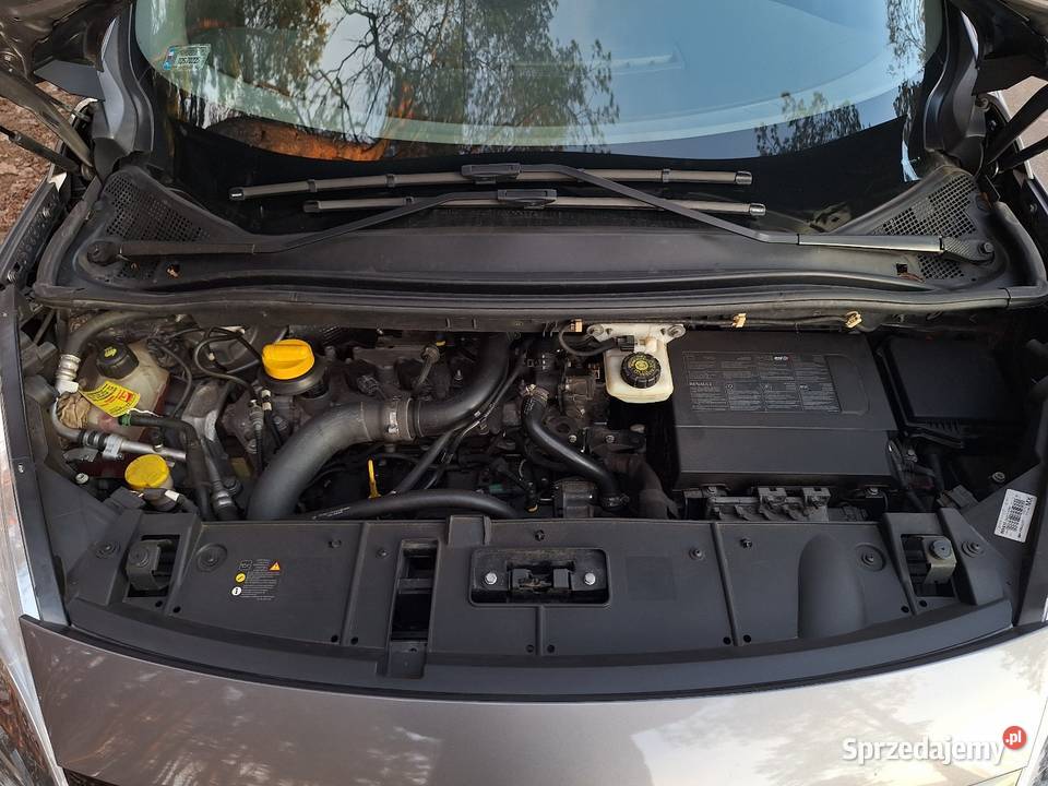 Renault Scenic 3 bezwypadkowy czujnik parkowania Scenic Ostrowiec Świętokrzyski