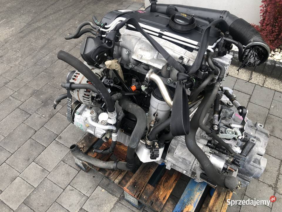 Silnik Kompletny 20 Tdi Bkd Audi Vw Seat Skoda 4 wielkopolskie Dobra Nadzieja