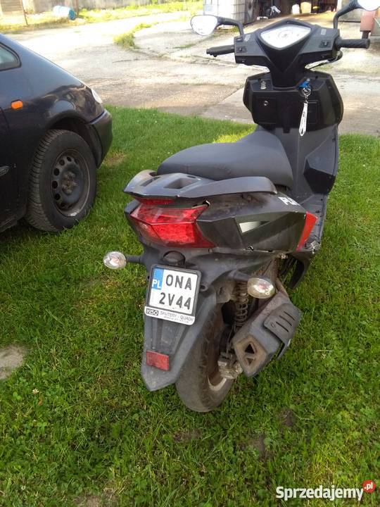 Sprzedam Kingway Purga 50