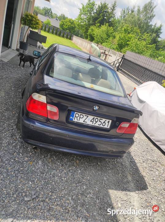 BMW e 46 318i kupiony w Polsce podkarpackie Rzeszów