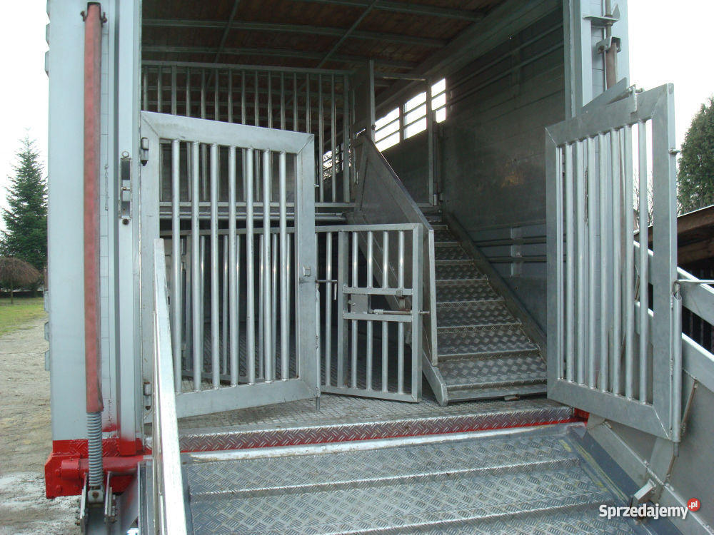 MAN 12224 DO PRZEWOZU ŻYWCA ZWIERZĄT VIEHTRANSPO hak Kolbuszowa