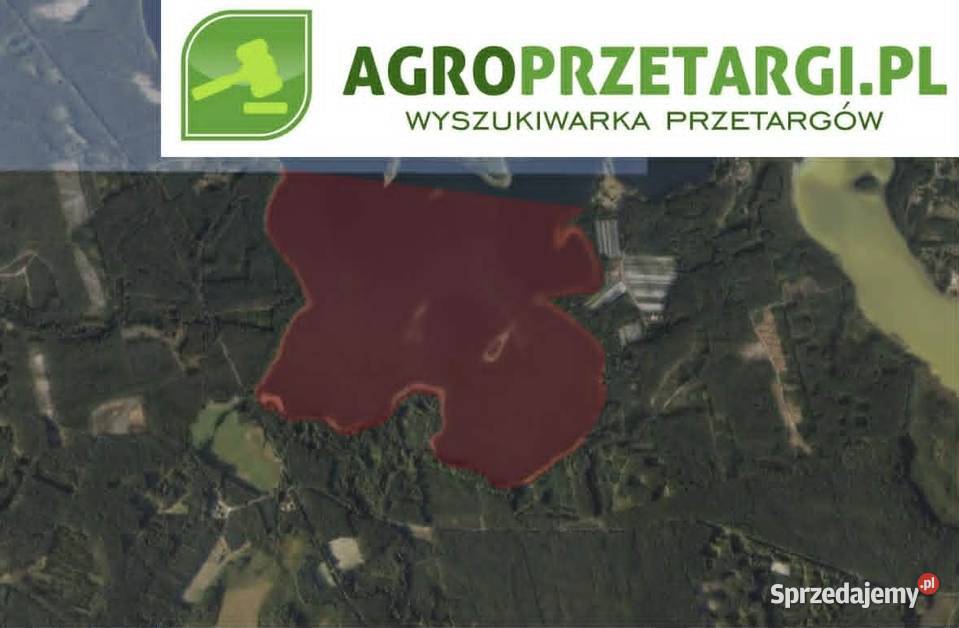 Dzierżawa 17052 ha jeziora Świecie