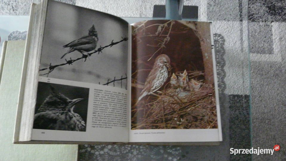 Wielki Atlas Zwierząt VJStanek Wolsztyn