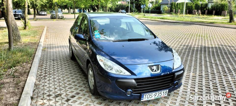 Sprzedam Peugeot 307 Ostrowiec Świętokrzyski