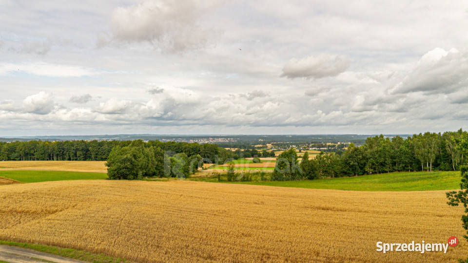 Grunt Milwino 3111m2