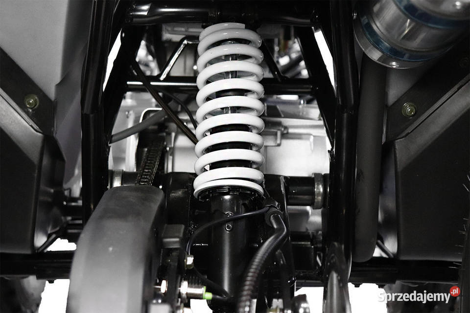 Rizzo 3 biegi 125 cc Spalinowy Quad 7 Platin Lublin