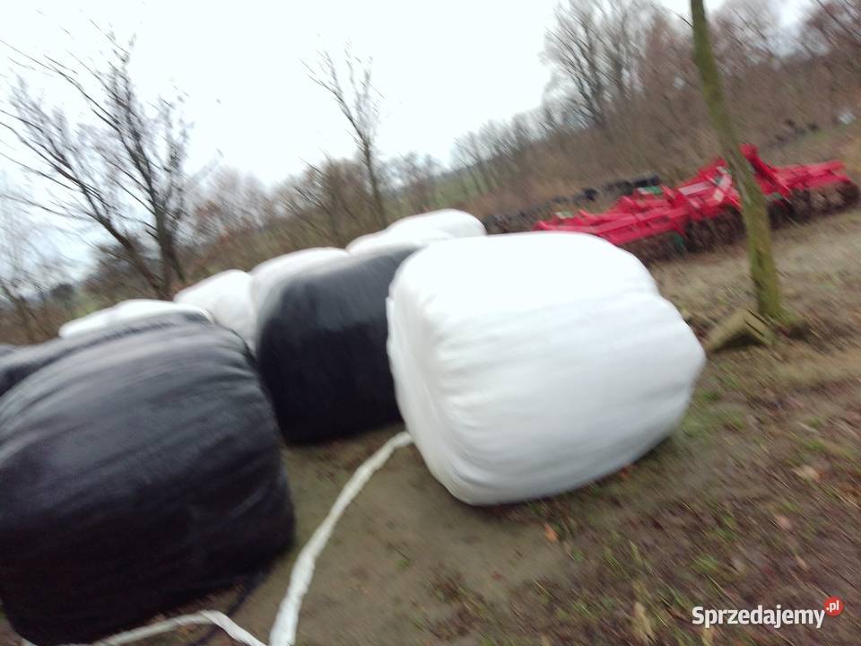 Baloty sianokiszonki Trawy, słoma Kwileń