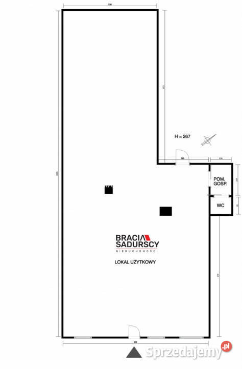 Lokal Nowe Brzesko 260m2 sprzedam